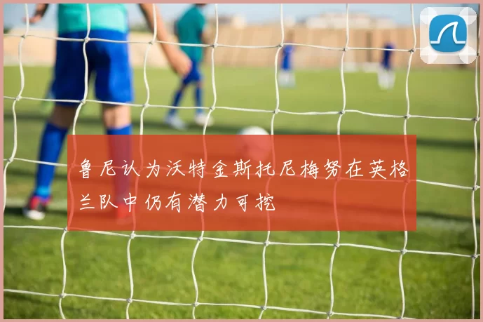 鲁尼认为沃特金斯托尼梅努在英格兰队中仍有潜力可挖