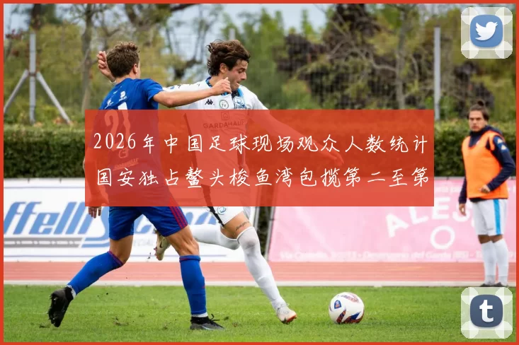 2026年中国足球现场观众人数统计国安独占鳌头梭鱼湾包揽第二至第七位
