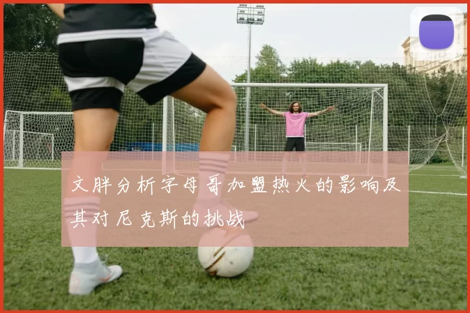 文胖分析字母哥加盟热火的影响及其对尼克斯的挑战